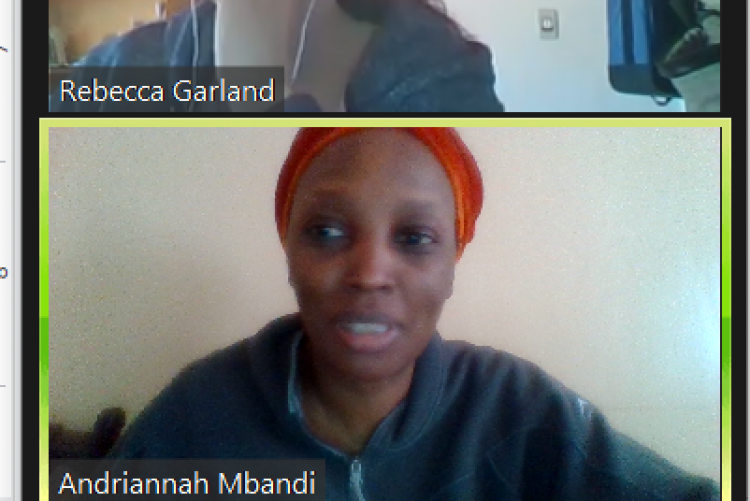 Screanshot of the webinar meeting- ANGA