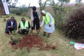 Students and Staffs during the tree planting exercise
